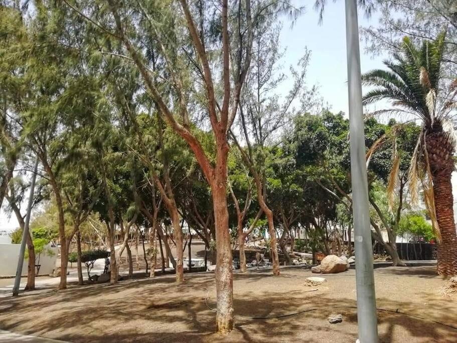 Apartamento Jable Arrecife  Luaran gambar